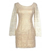 Golden Wishes Lace Overlay Designer Dress